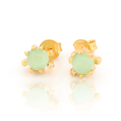 Turtle Stud Earrings with Green Shell